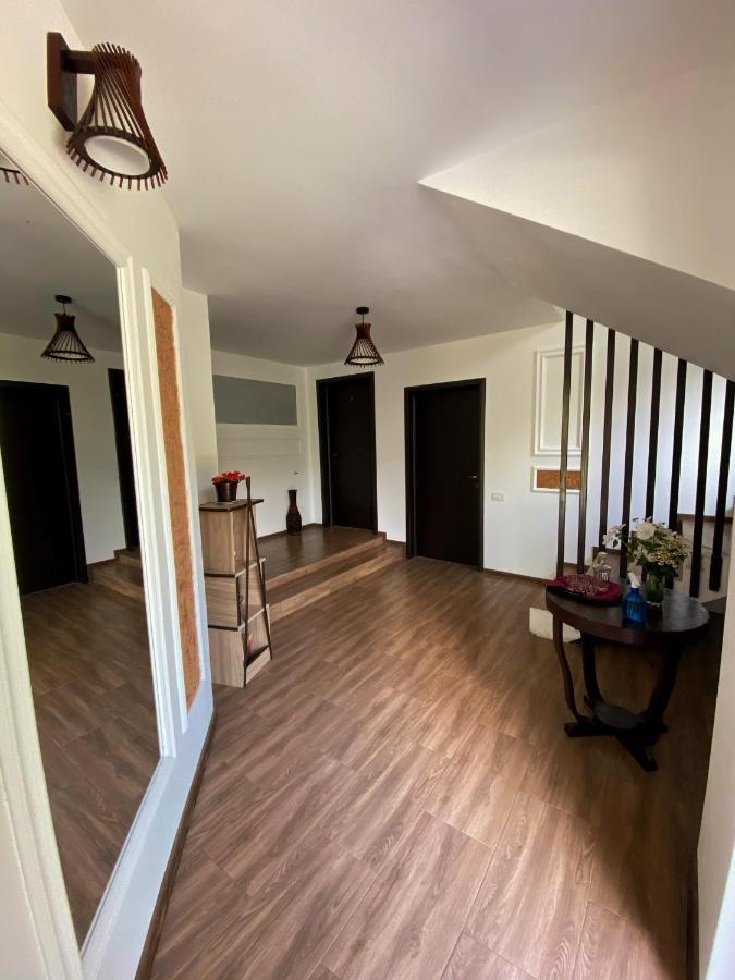 Sorina Maison d'hôtes Borşa