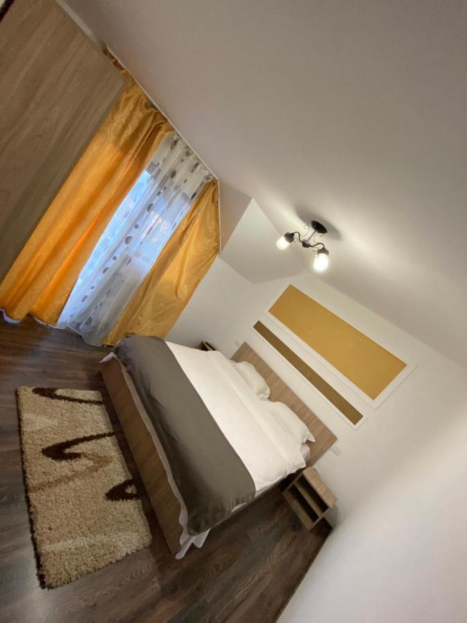 Sorina Maison d'hôtes Borşa